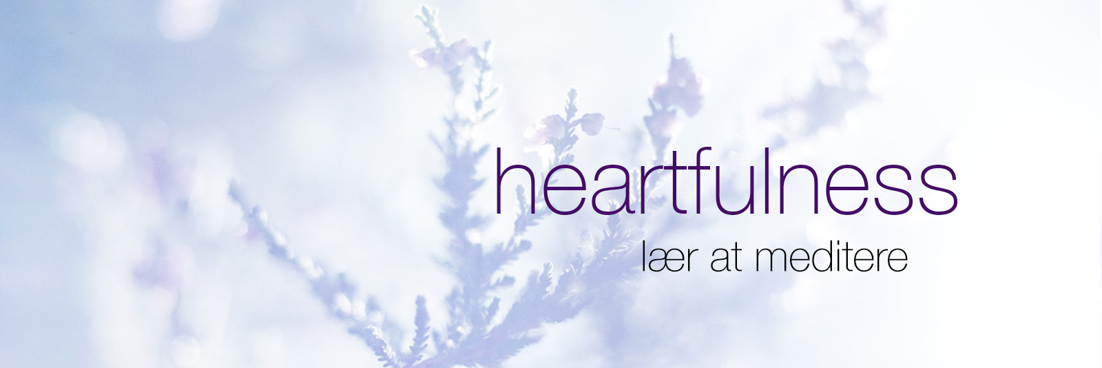 Heartfulness Meditation Danmark, Lœr at meditere Heartfulness Meditation Danmark