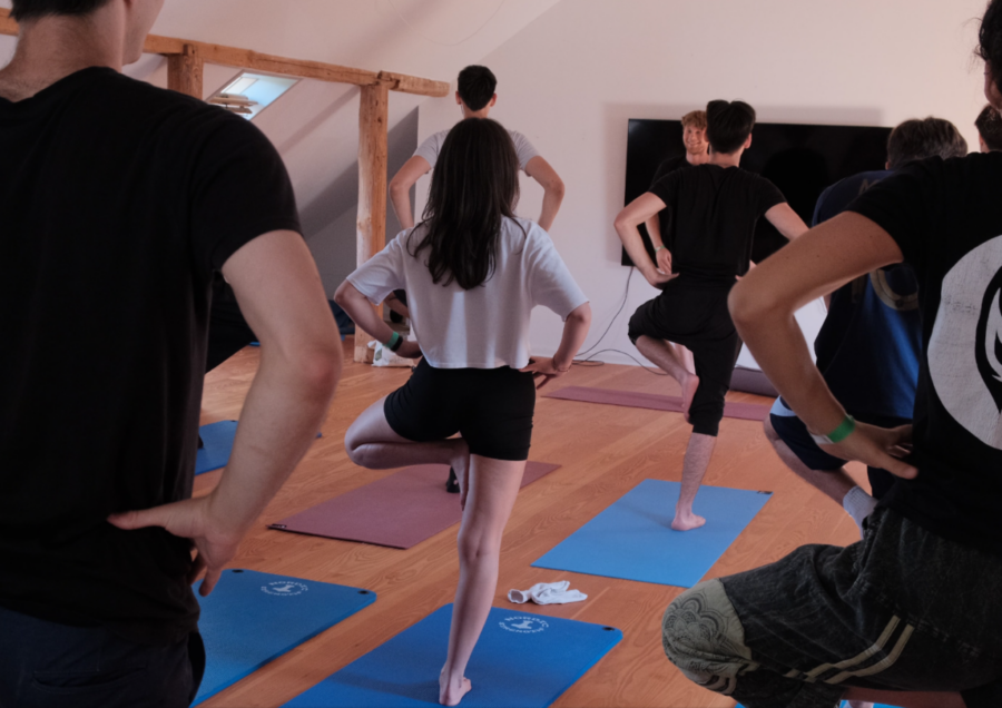 Heartfulness Yoga